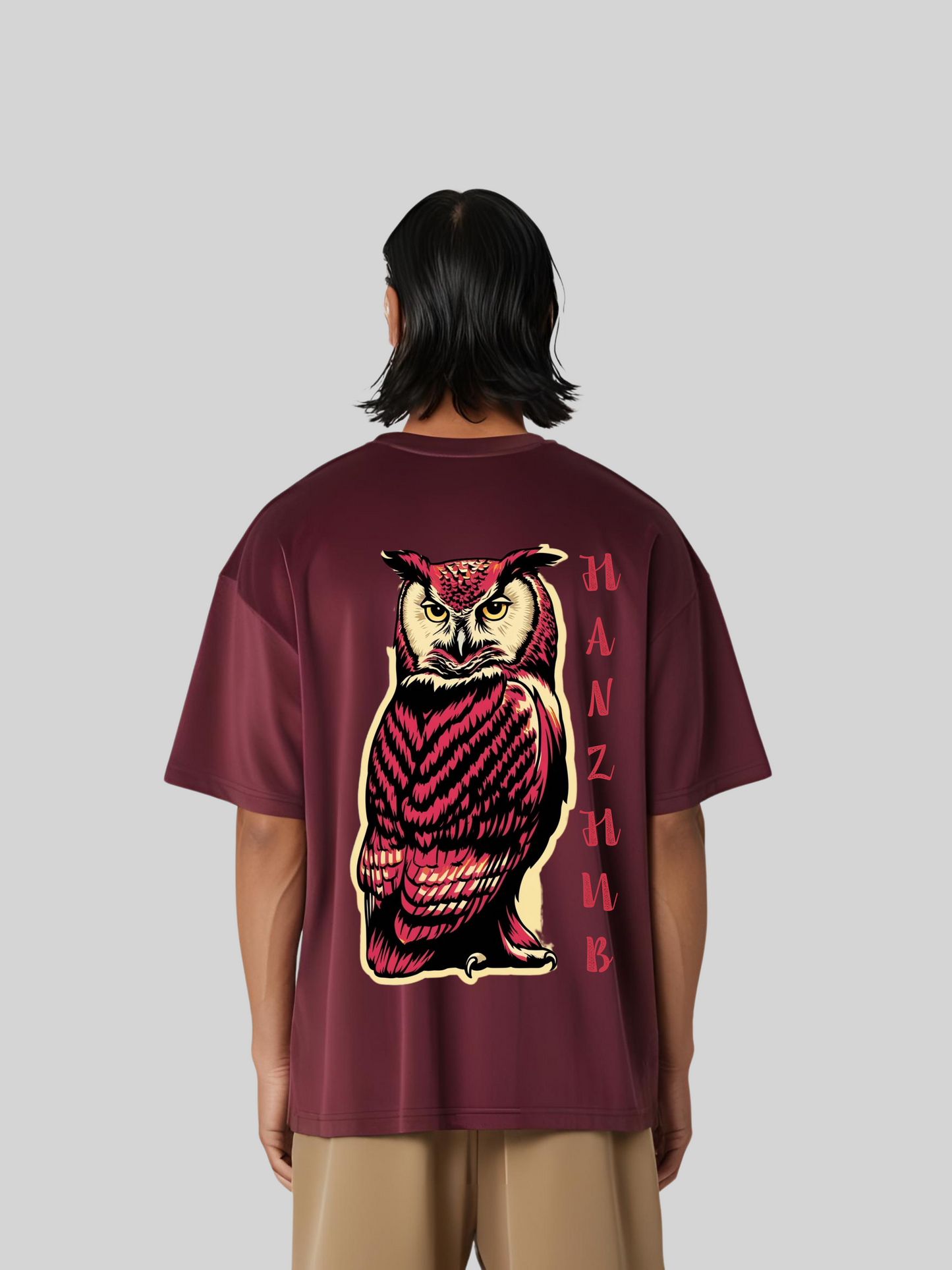 HANZ OWL VISION