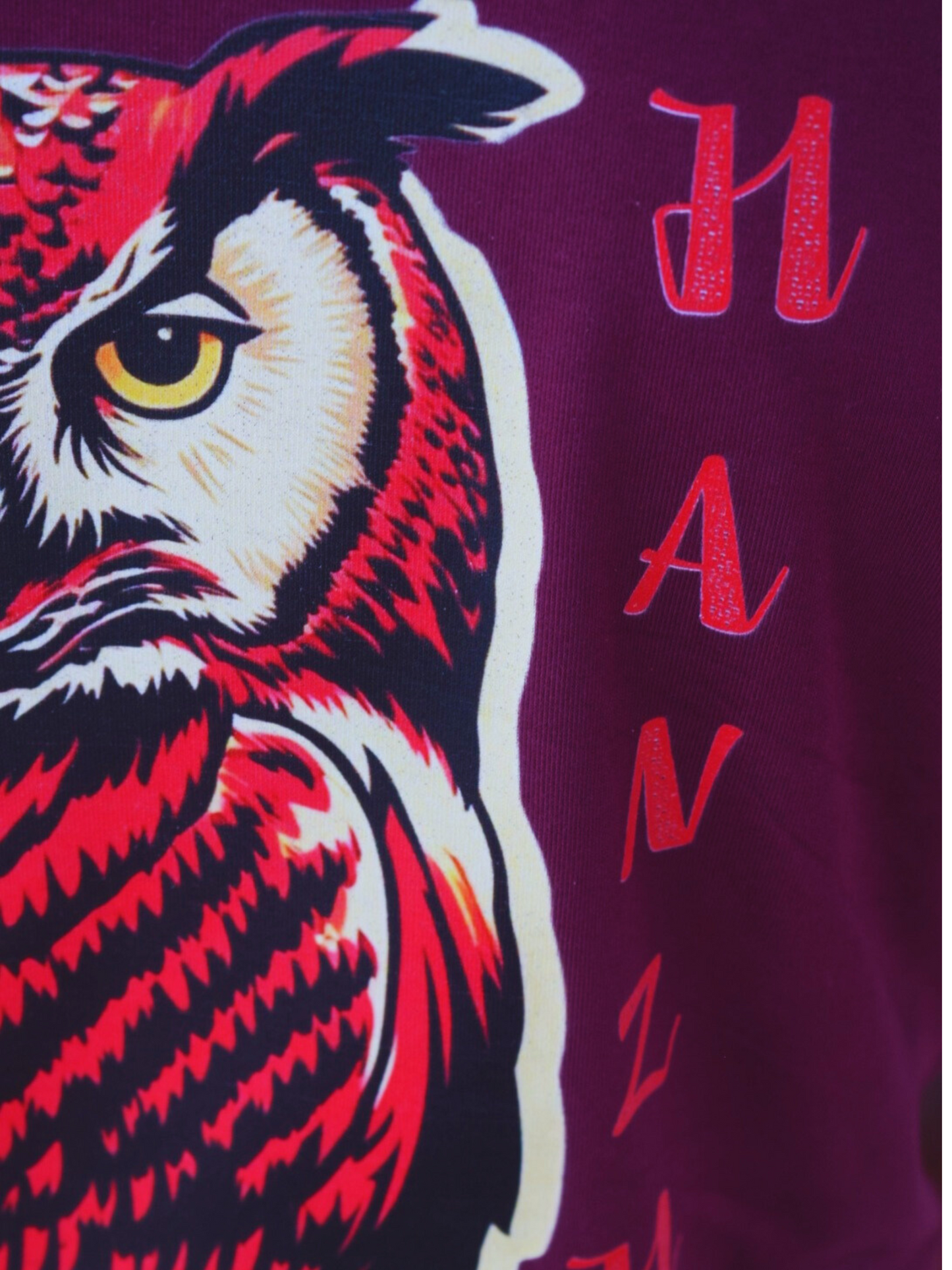 HANZ OWL VISION
