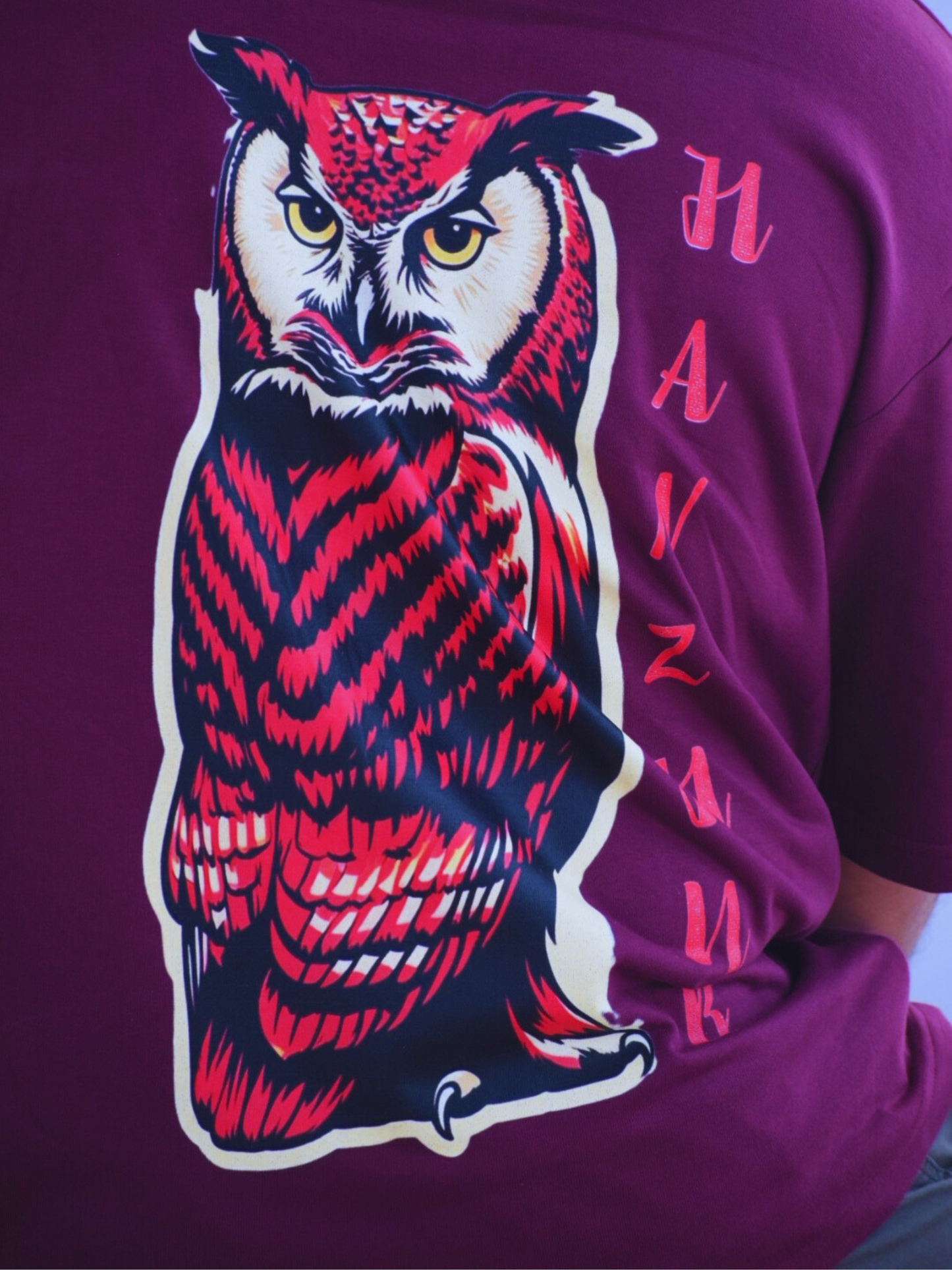 HANZ OWL VISION