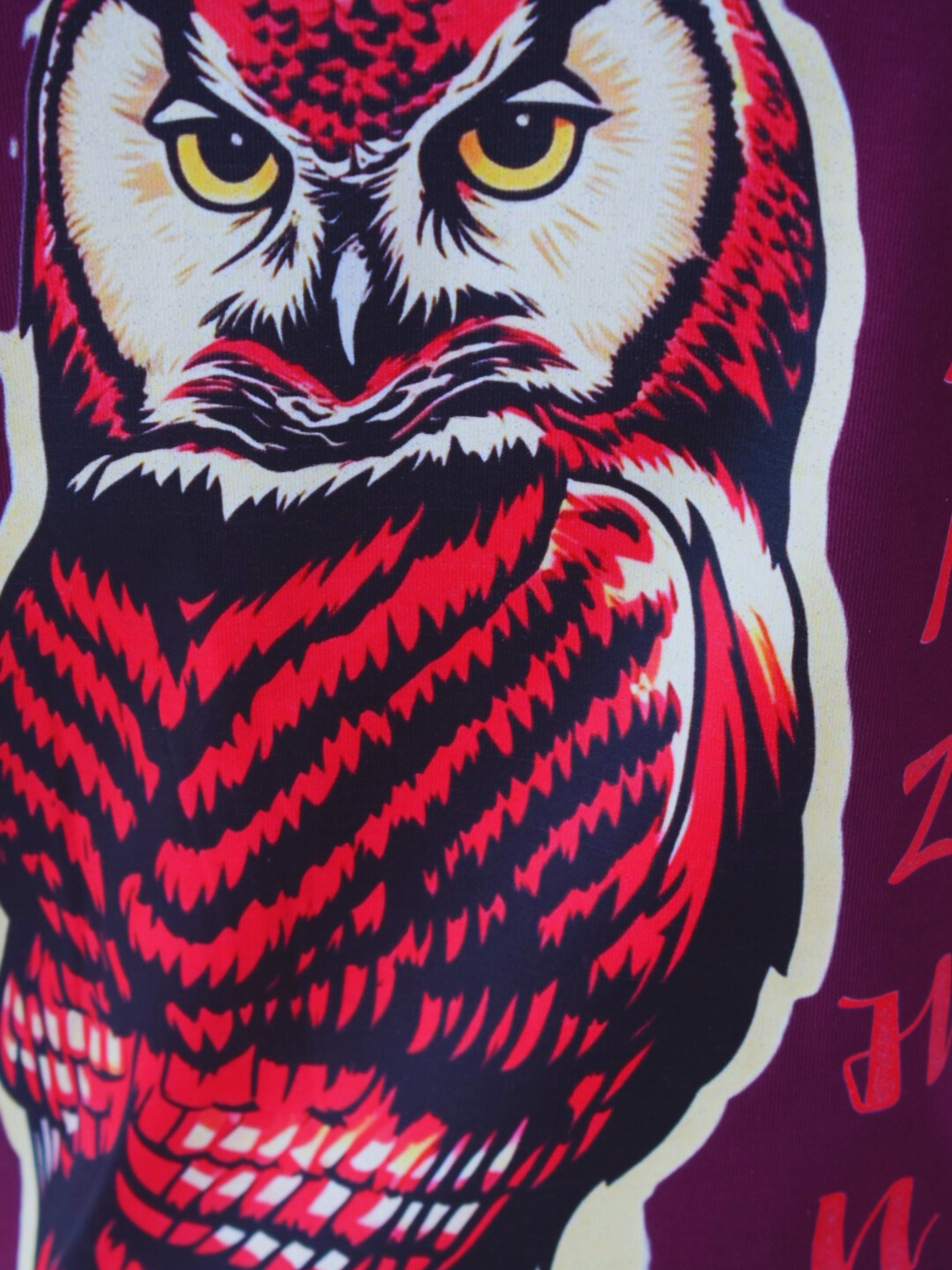 HANZ OWL VISION