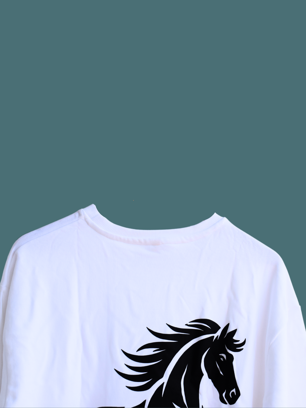 BLACK HORSE