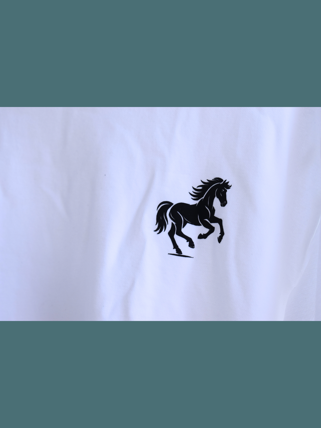 BLACK HORSE