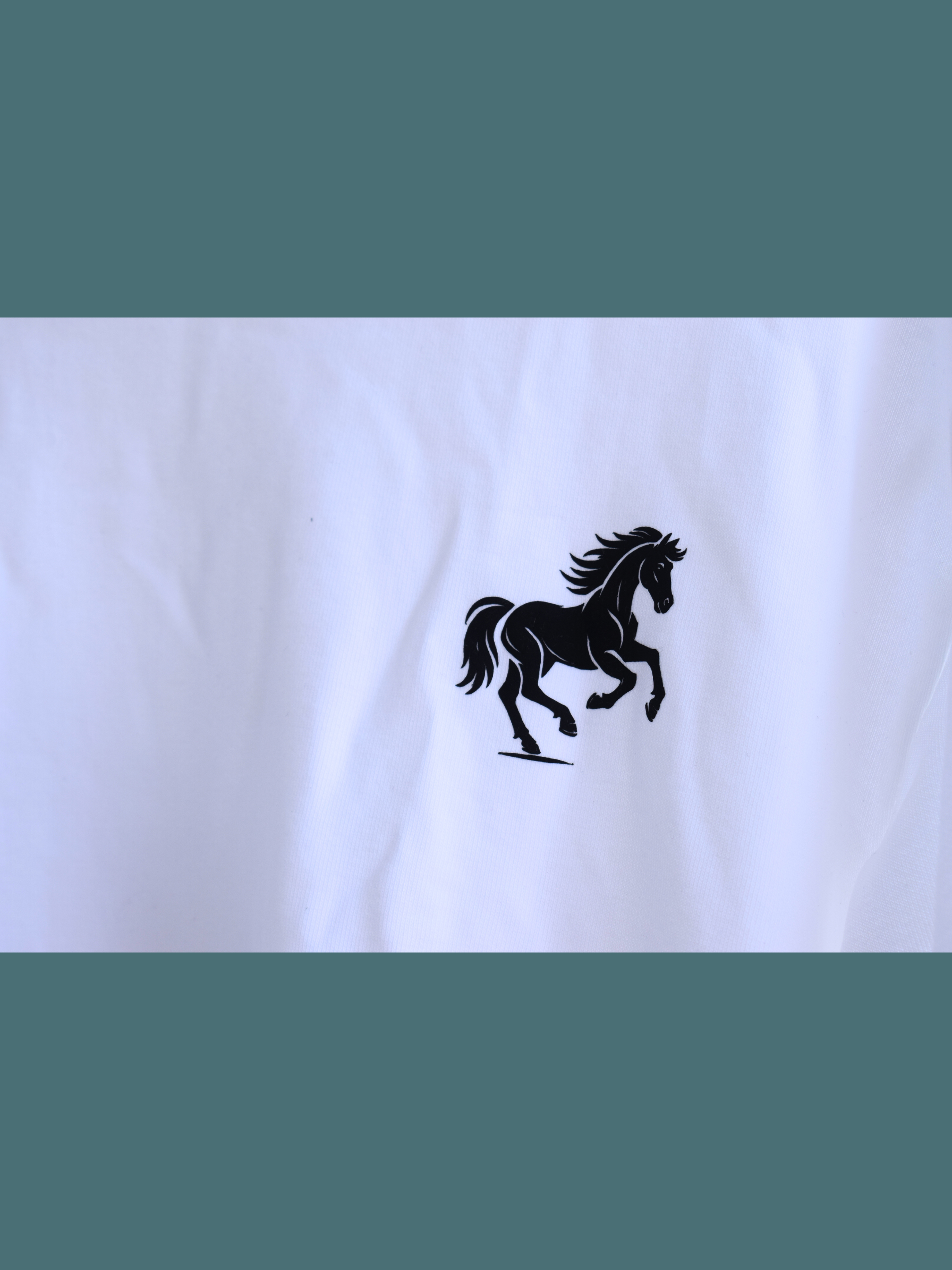 BLACK HORSE