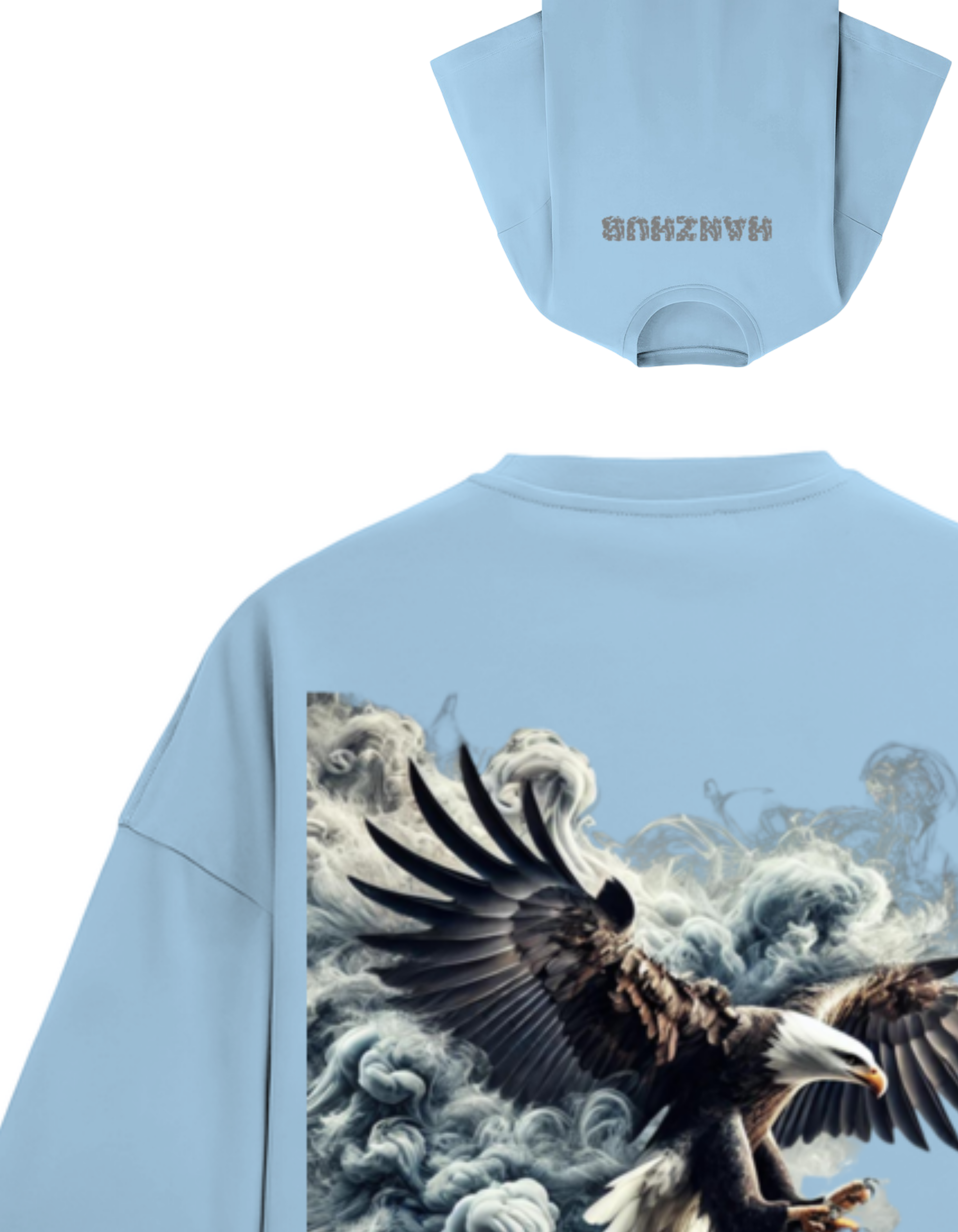 Eagle In  The Storm
